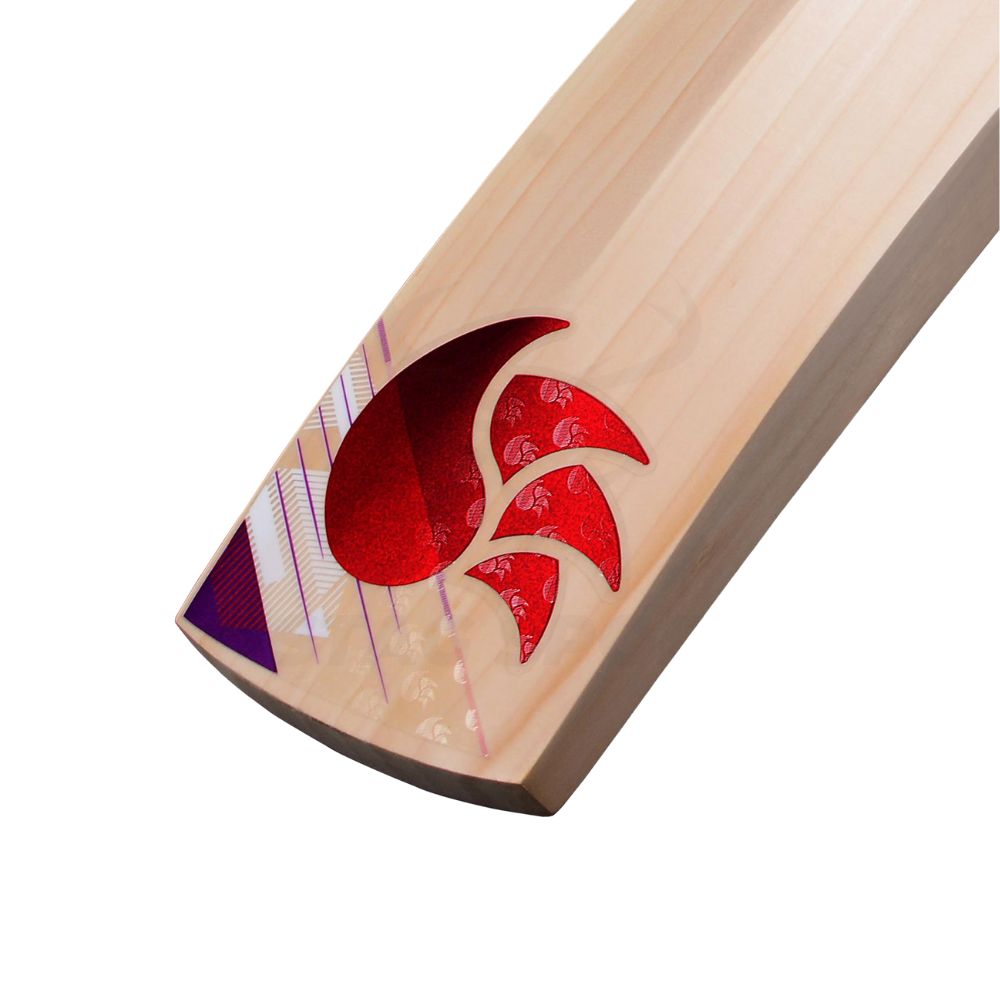 Big Savings on DSC Cricket Bats at Stag Sports Australia!