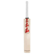 SG Sunny Tonny Arc 2.0 English Willow Cricket Bat