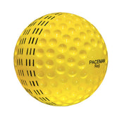 Paceman Reg Hard Ball 12 Pack | Bowling Machine Ball | Stag Sports