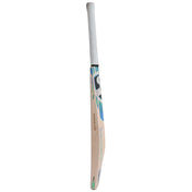 SG Sierra 250 English Willow Cricket Bat at Stag Sports Store Australia