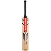 Gray Nicolls Delta 1000 Ready Play Cricket Bat