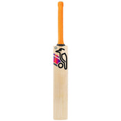 Kookaburra Aura Pro Players Senior Cricket Bat 24/25 at Stag Sports