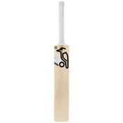 Buy Ghost Cricket Bat at stag Sports