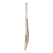 Buy New Balance TC560 Cricket Bat from Stag Sports Cricket Store