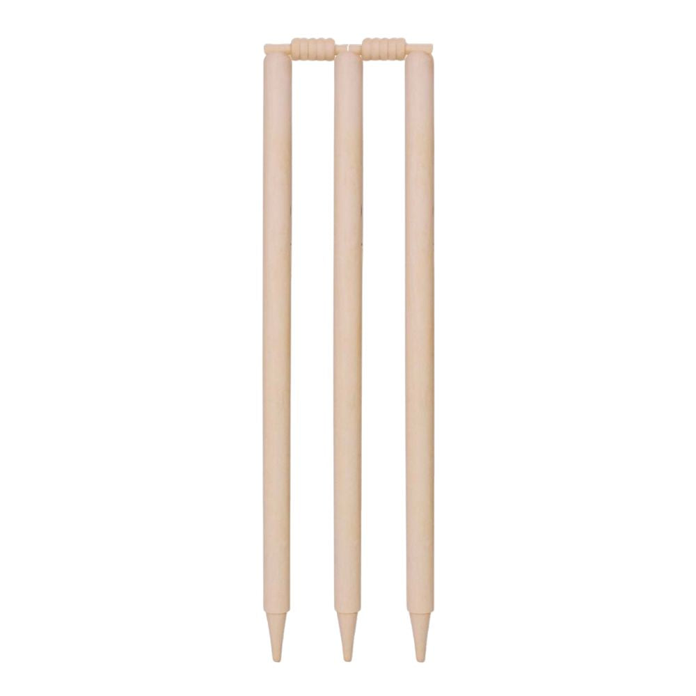 Buy DSC Bleached And Polished Cricket Stumps Online |  Stag Sports