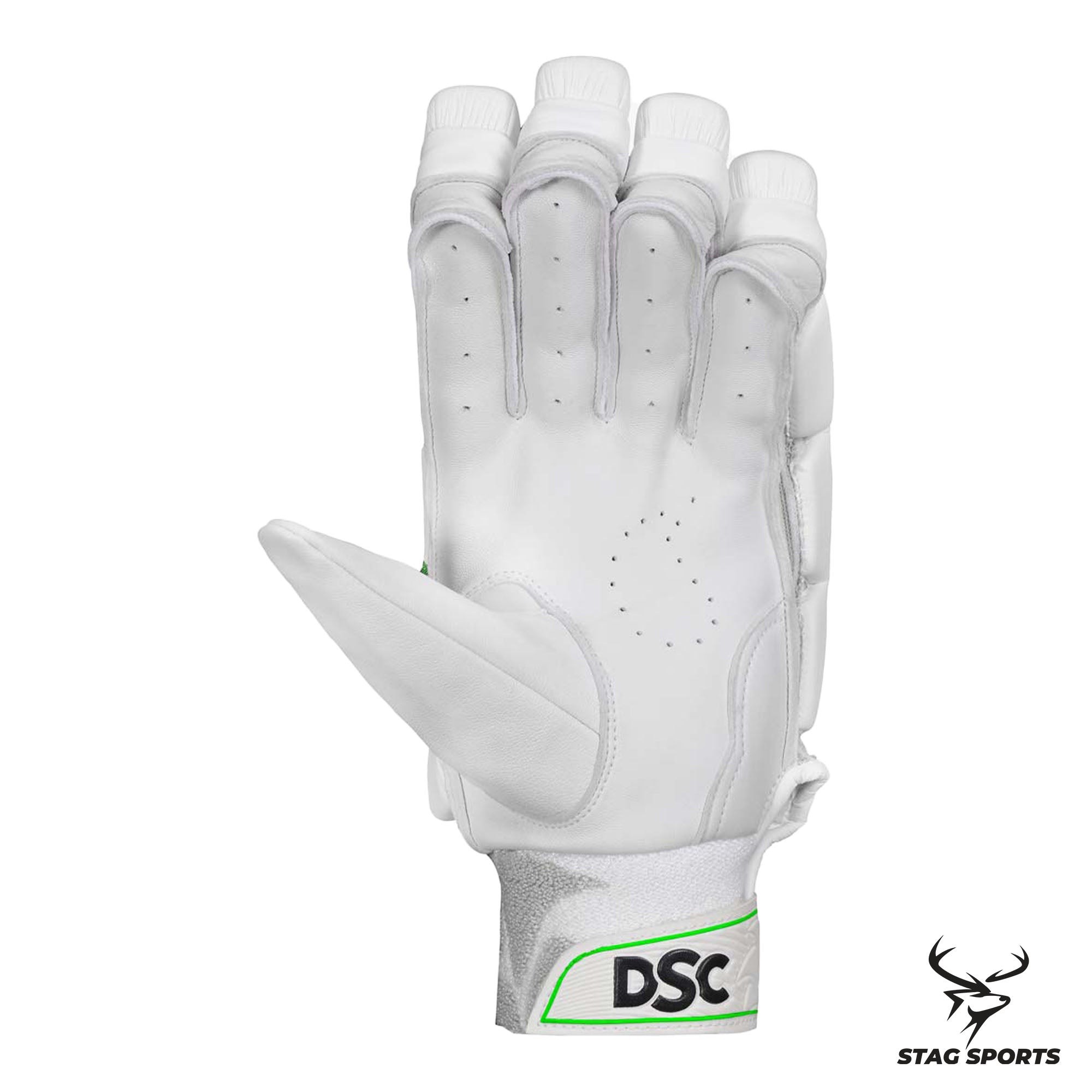 Buy Online DSC Cricket Batting Gloves from Stag Sports Australia 